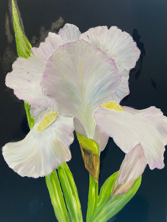 Painting - Iris