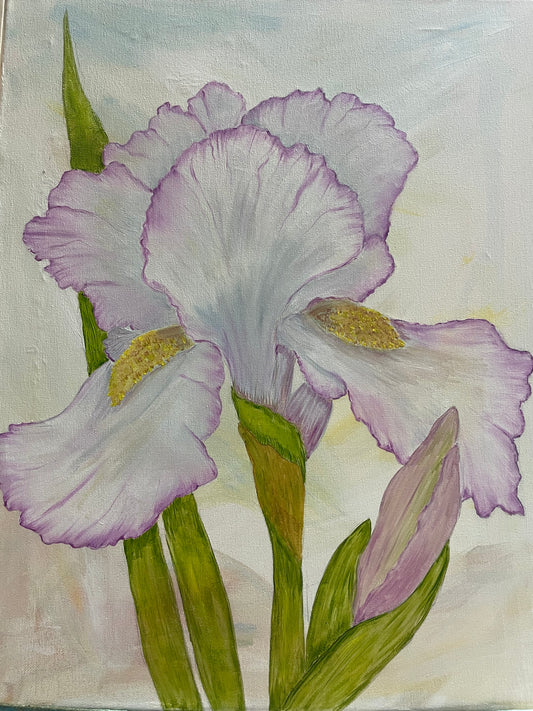 Painting - Iris with light background